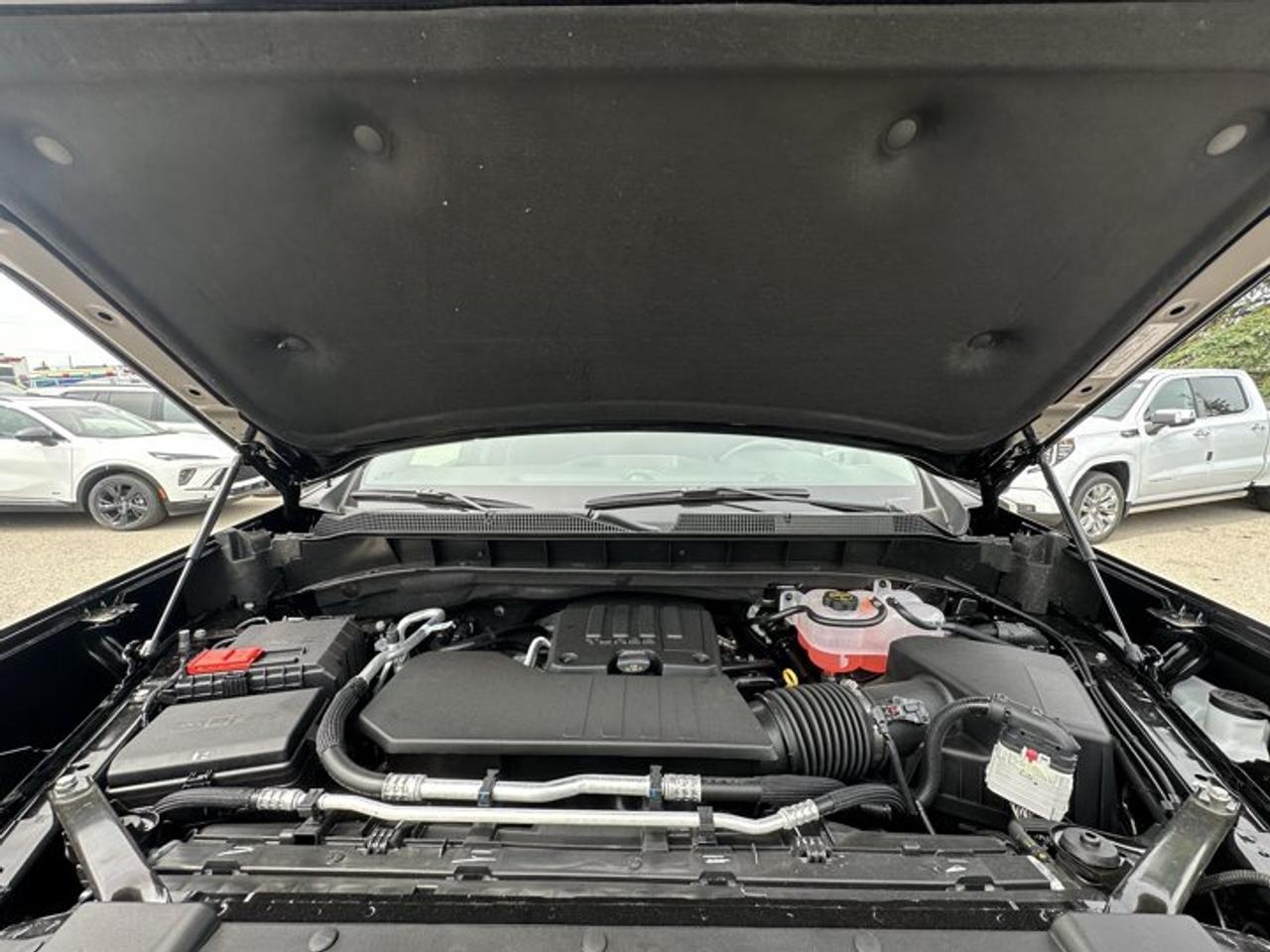 14143561