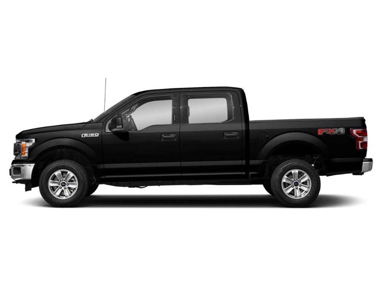 2019 Ford F-150 XLT Photo