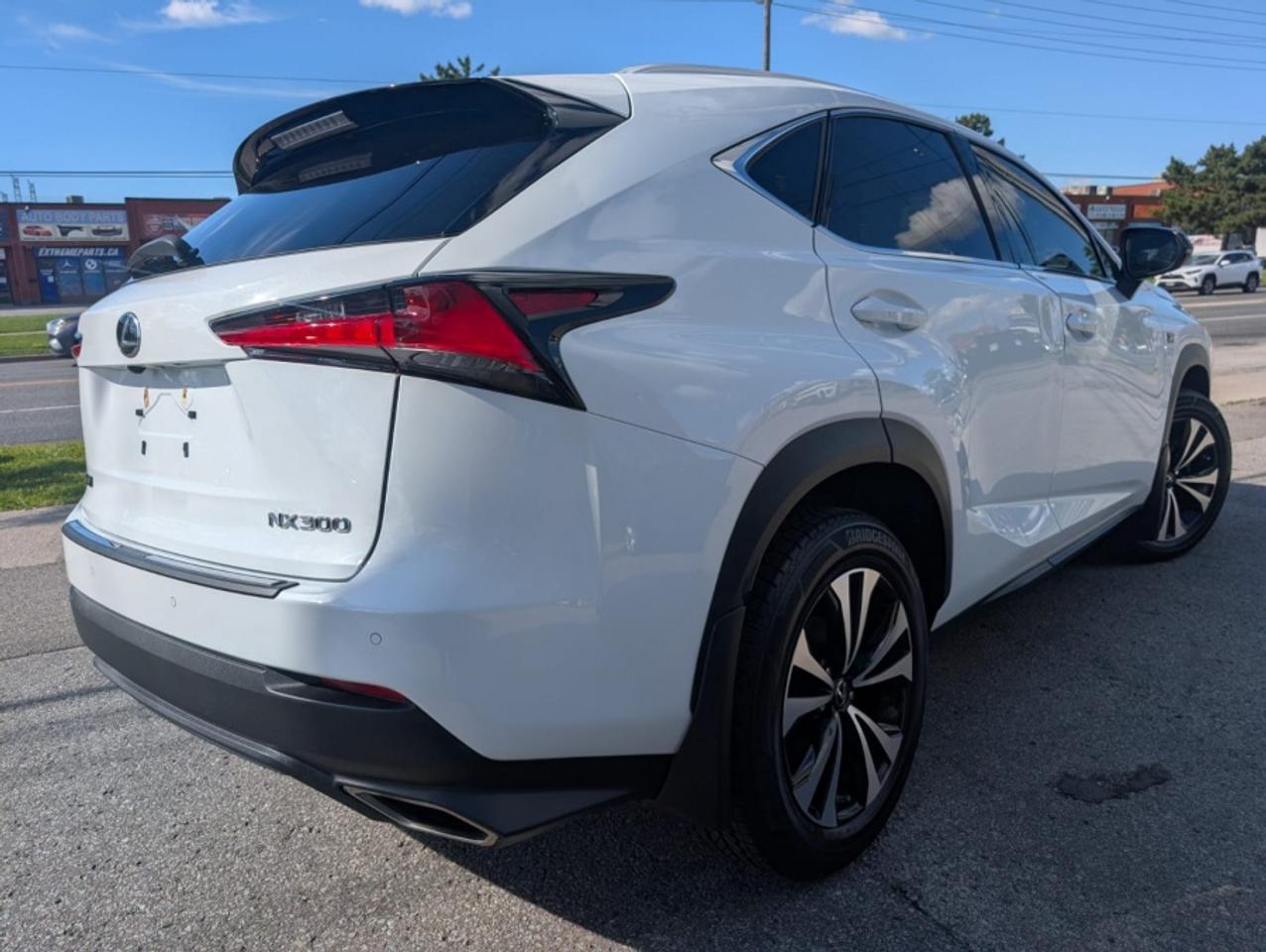 2019 Lexus NX 300 F-Sport Photo