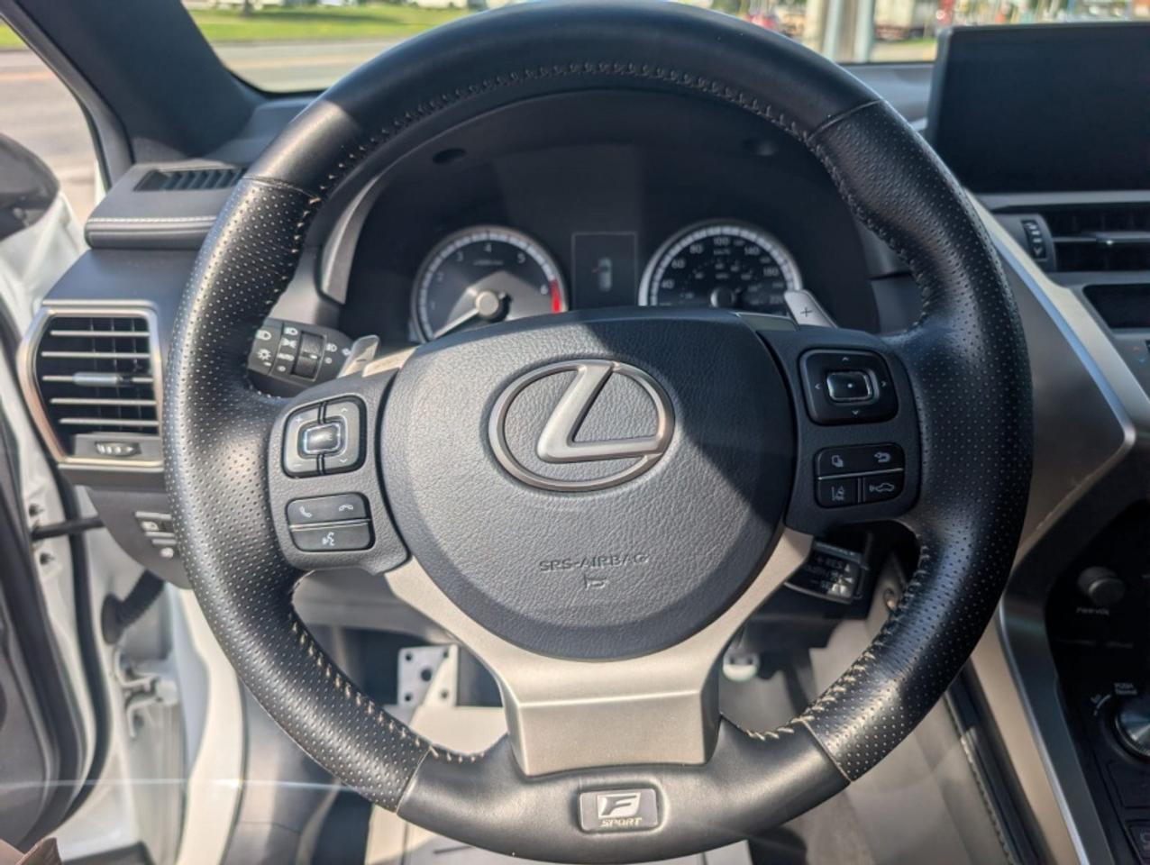 2019 Lexus NX 300 F-Sport Photo