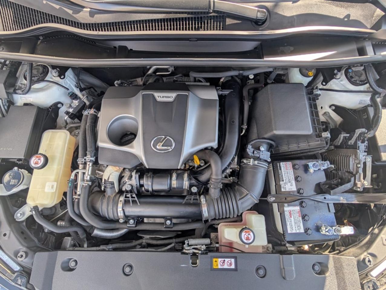 2019 Lexus NX 300 F-Sport Photo