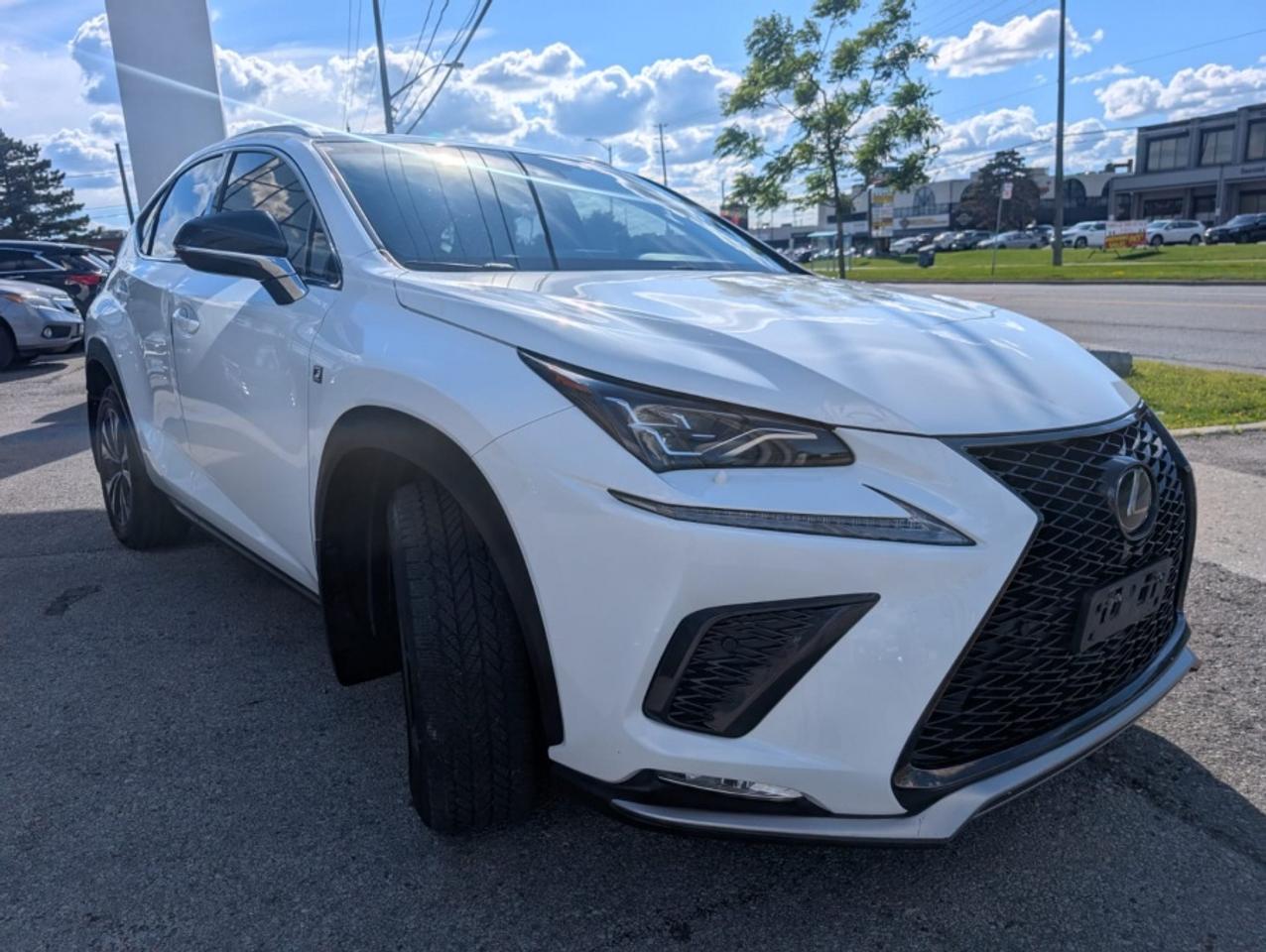 2019 Lexus NX 300 F-Sport Photo