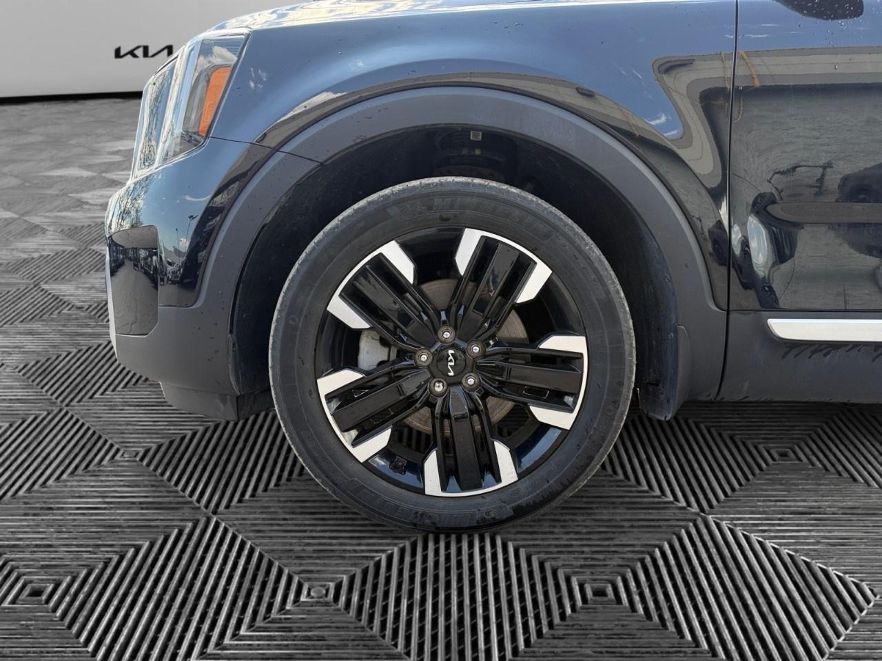 2024 Kia Telluride  Photo