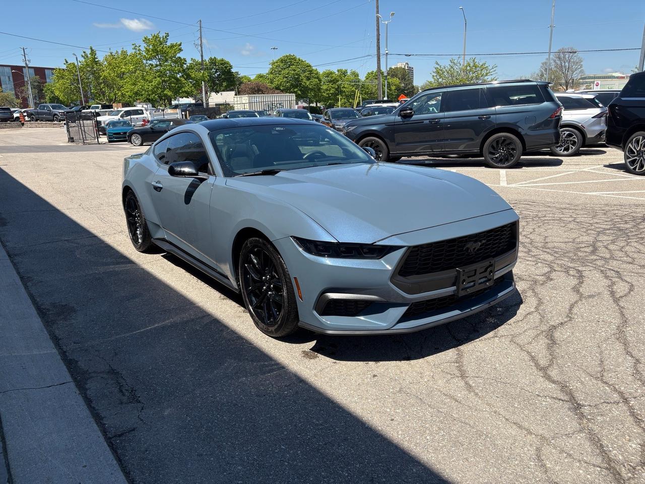 2024 Ford Mustang EcoBoost Photo0