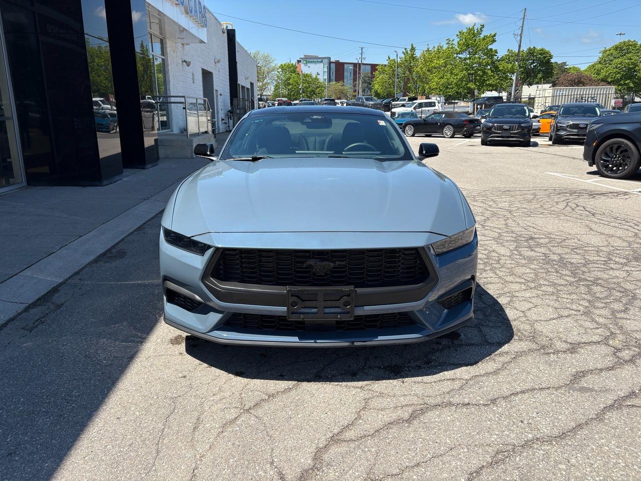 2024 Ford Mustang EcoBoost Photo