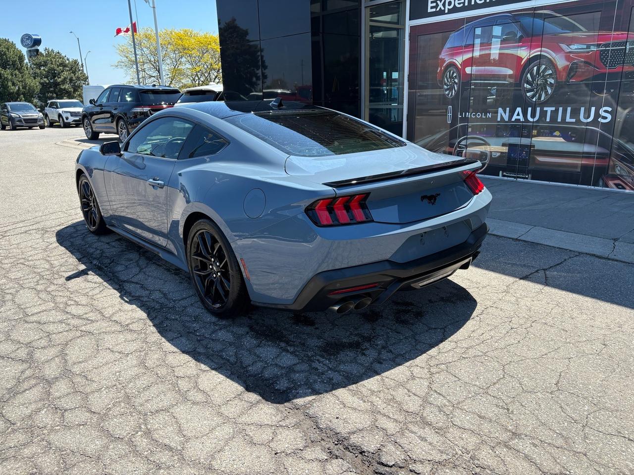 2024 Ford Mustang EcoBoost Photo