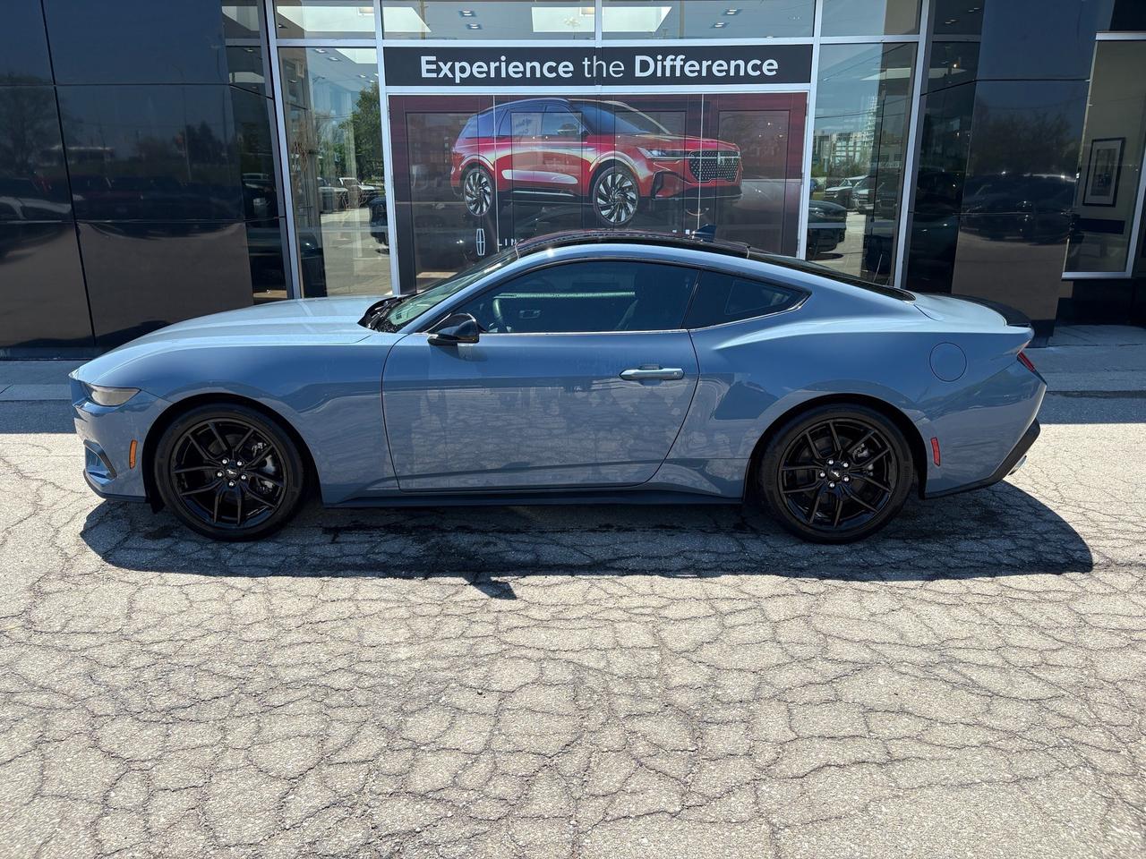 2024 Ford Mustang EcoBoost Photo