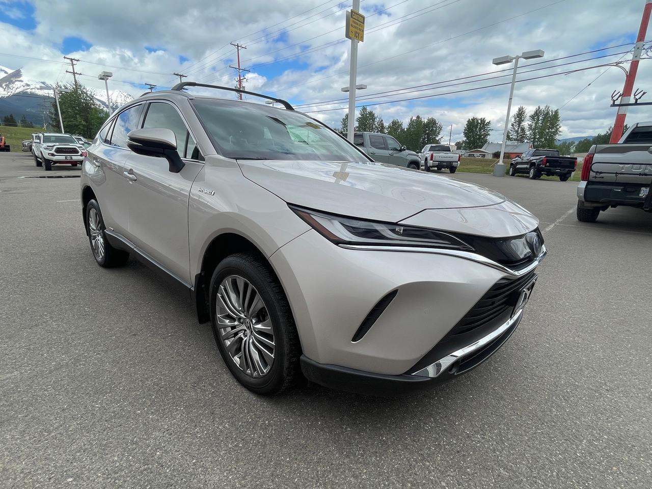 2021 Toyota Venza XLE Photo1