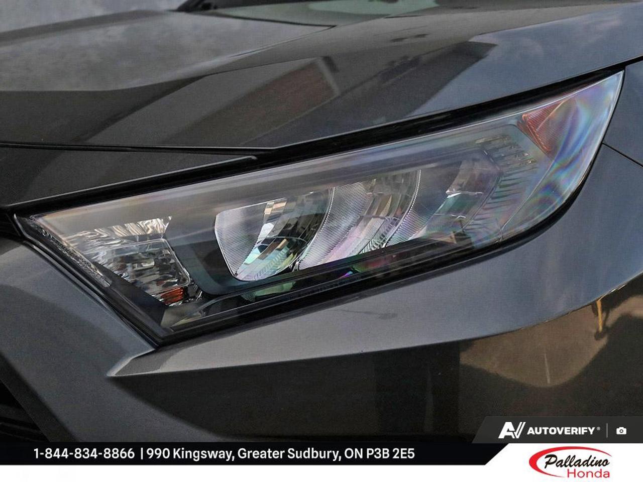 2019 Toyota RAV4 LE Photo