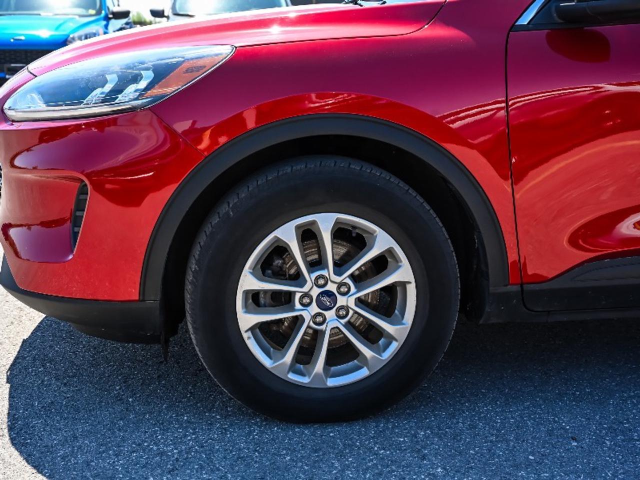 2022 Ford Escape SE Hybrid Photo
