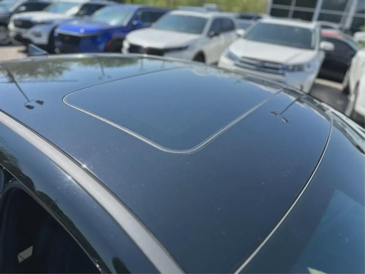2025 Hyundai Elantra N LINE Photo