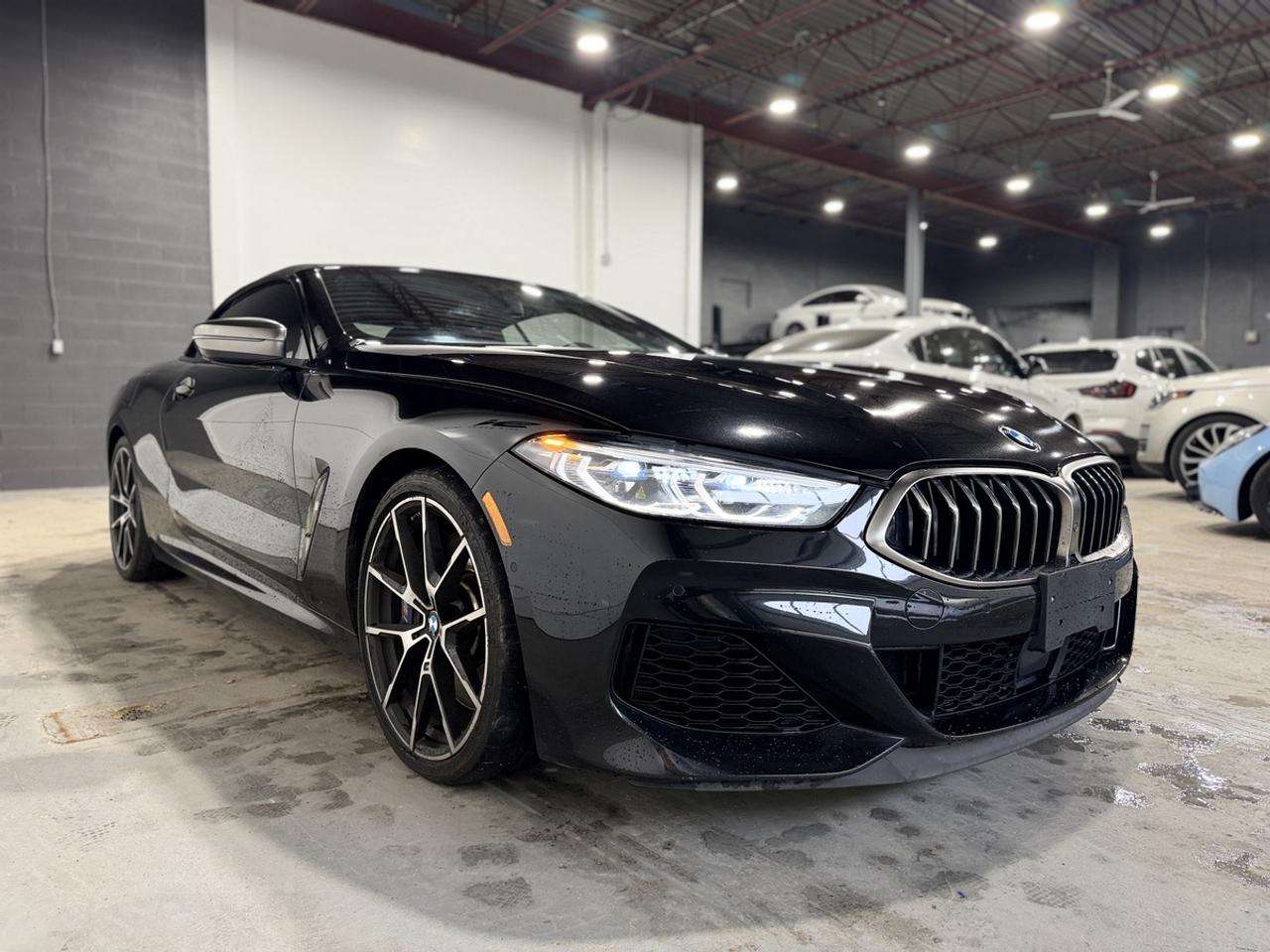 2019 BMW 8-Series M850i xDrive Photo