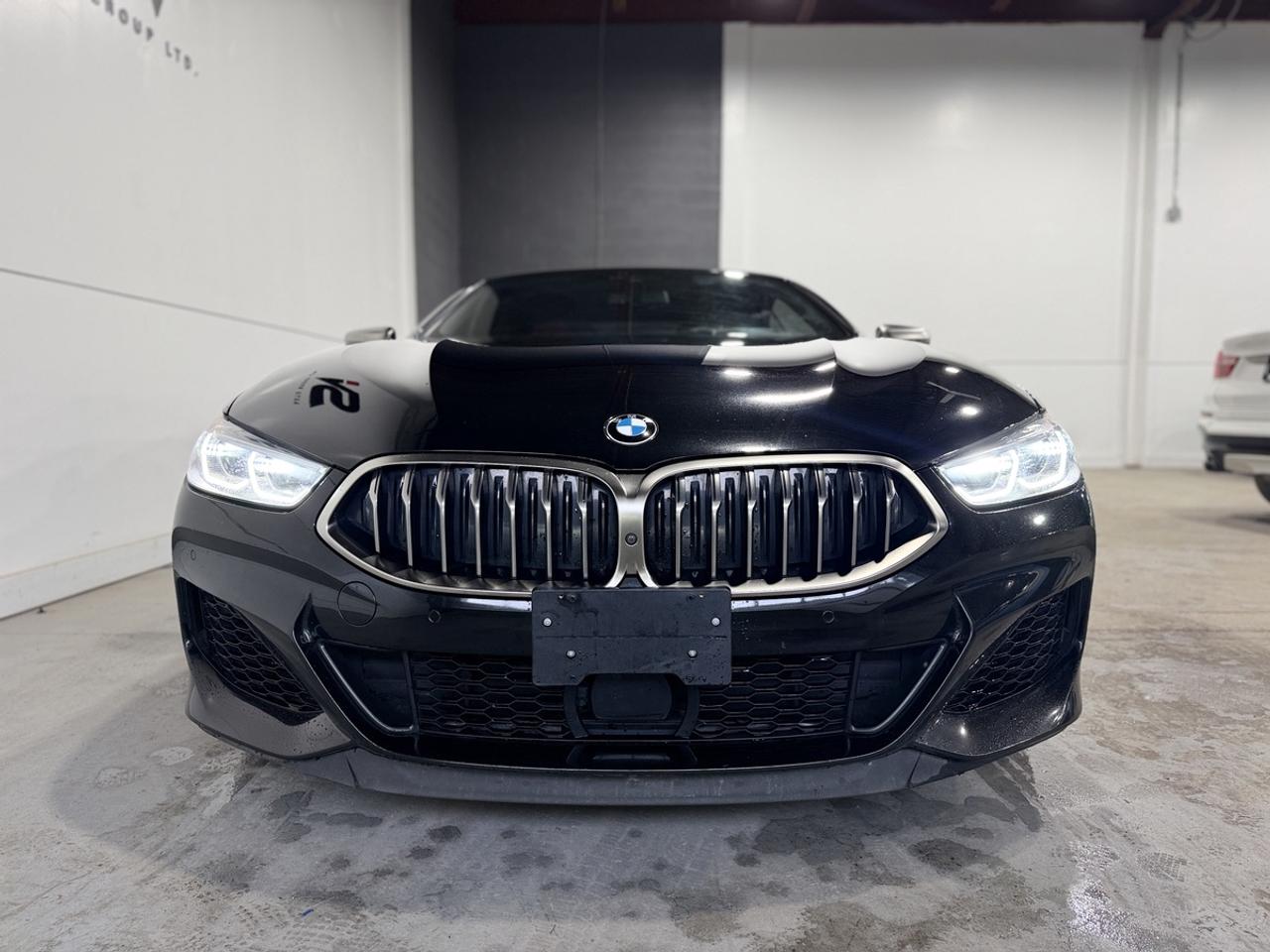 2019 BMW 8-Series M850i xDrive Photo