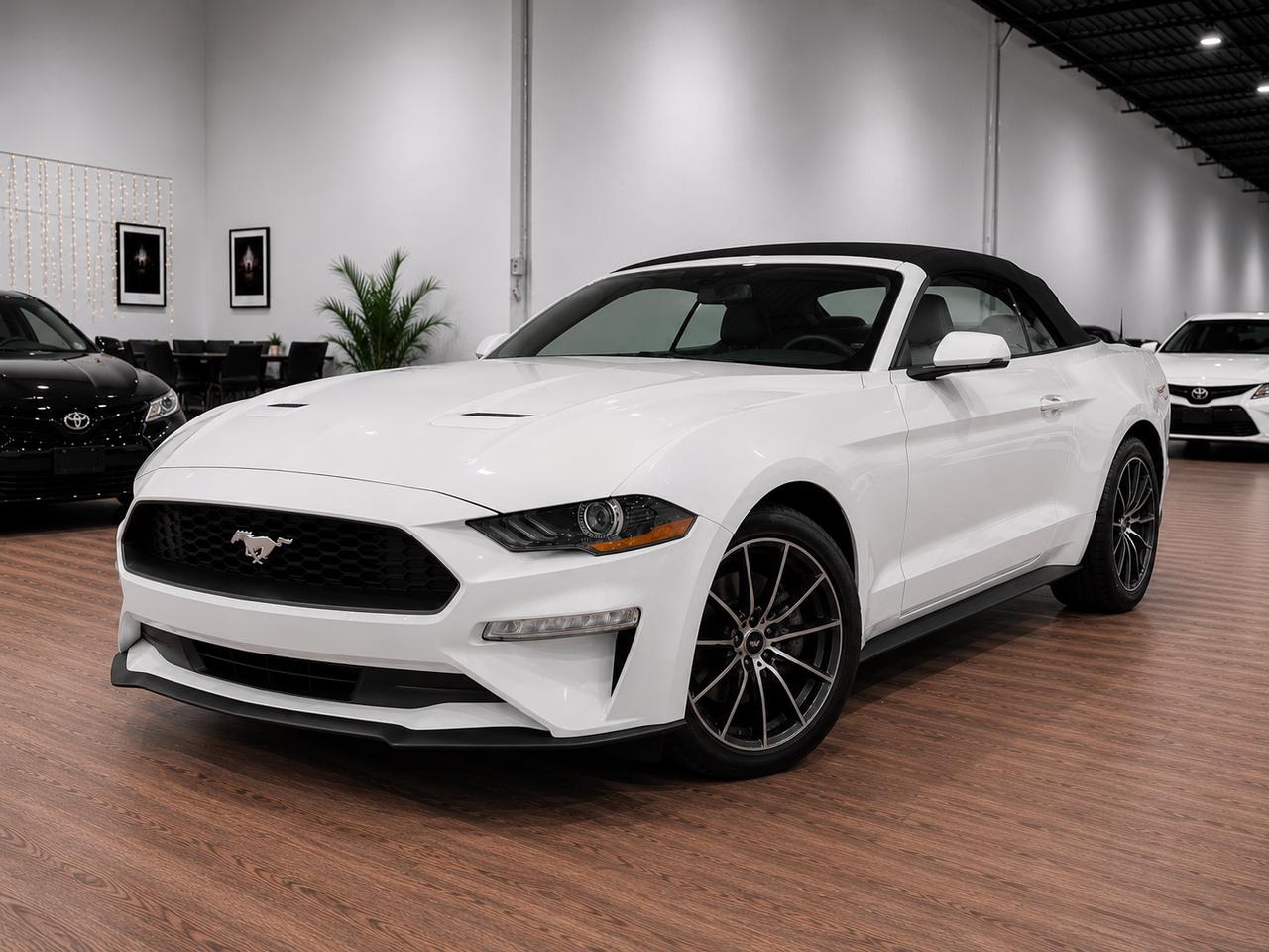 2018 Ford Mustang EB Convertible|Clean Carfax Photo0