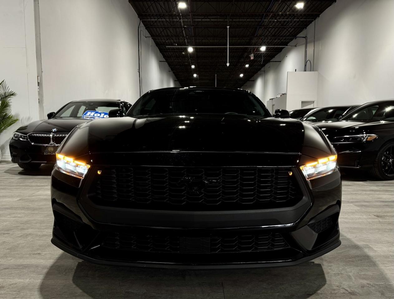 2024 Ford Mustang EB Nite Pony Pkg|High Pkg|One Onwer Photo