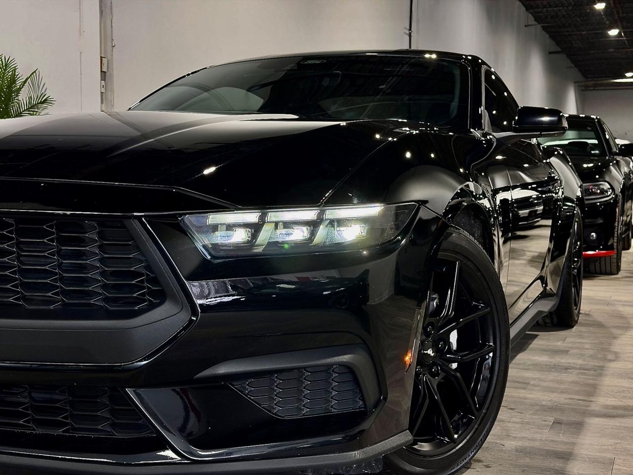 2024 Ford Mustang EB Nite Pony Pkg|High Pkg|One Onwer Photo