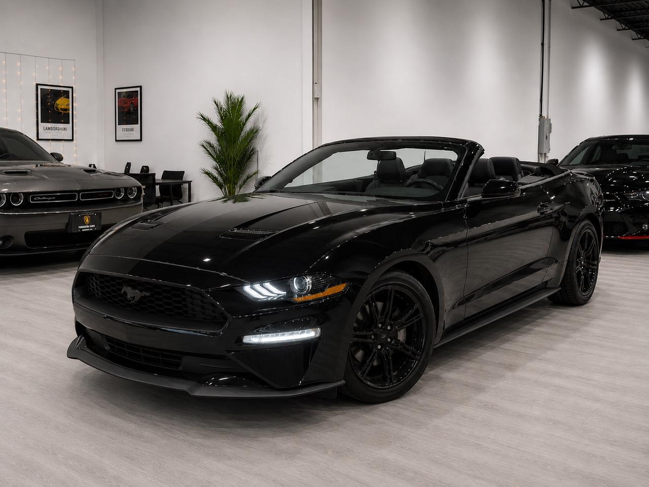 2019 Ford Mustang EB Premium Convertible|Clean Carfax|Leather Photo