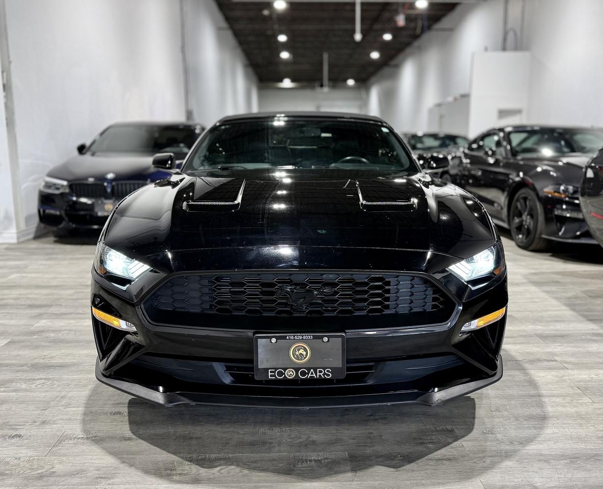 2019 Ford Mustang EB Premium Convertible|Clean Carfax|Leather Photo1