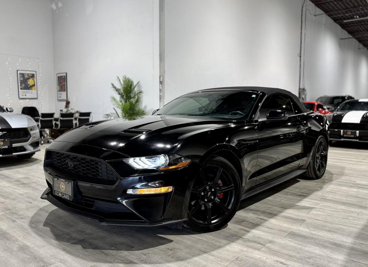 2019 Ford Mustang EB Premium Convertible|Clean Carfax|Leather Photo0