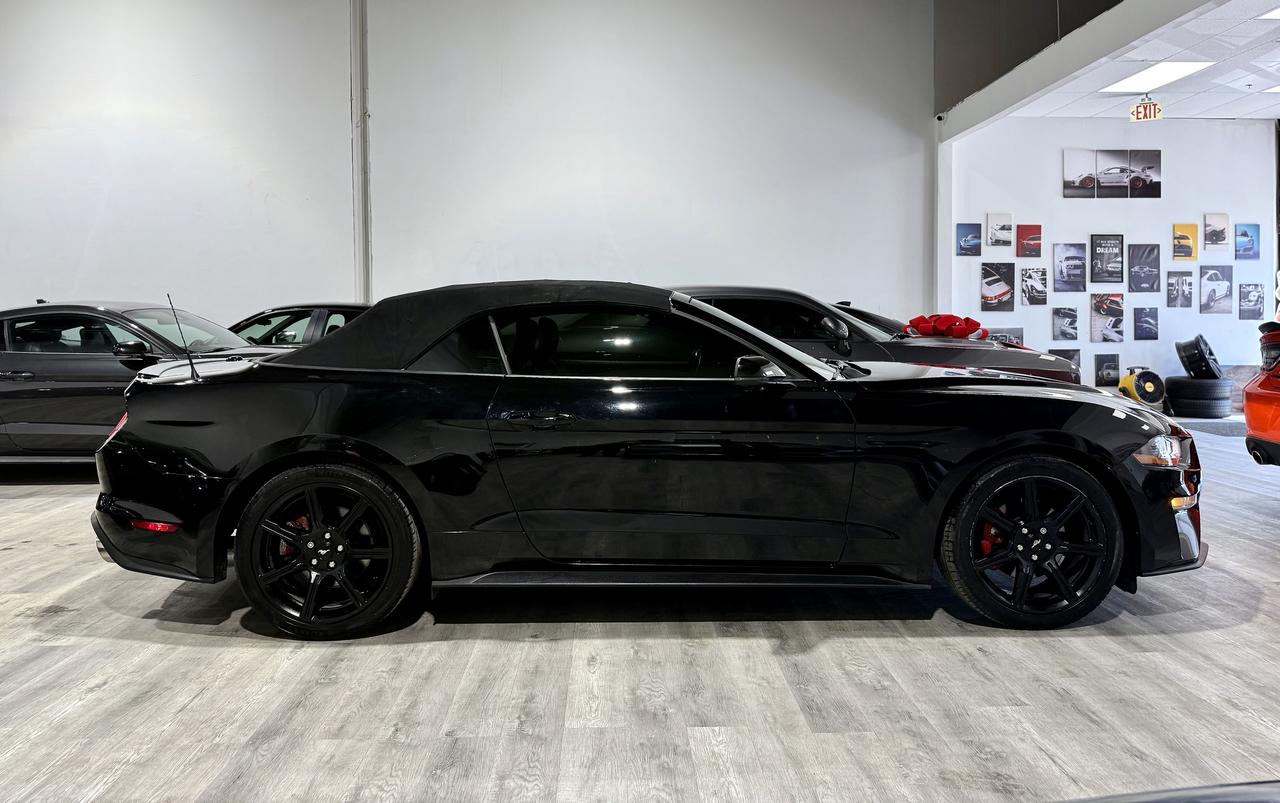 2019 Ford Mustang EB Premium Convertible|Clean Carfax|Leather Photo2