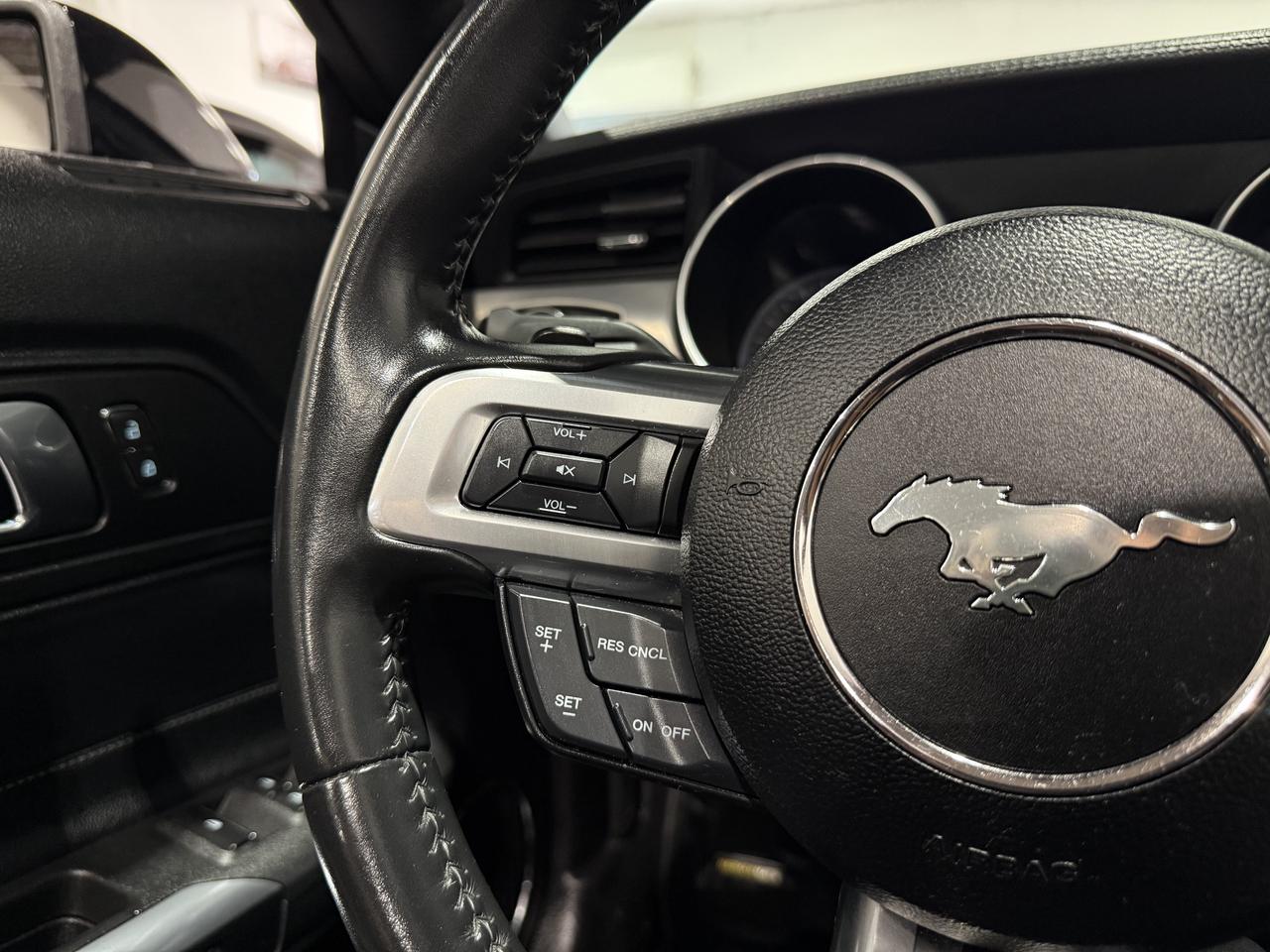 2019 Ford Mustang EB Premium Convertible|Clean Carfax|Leather Photo