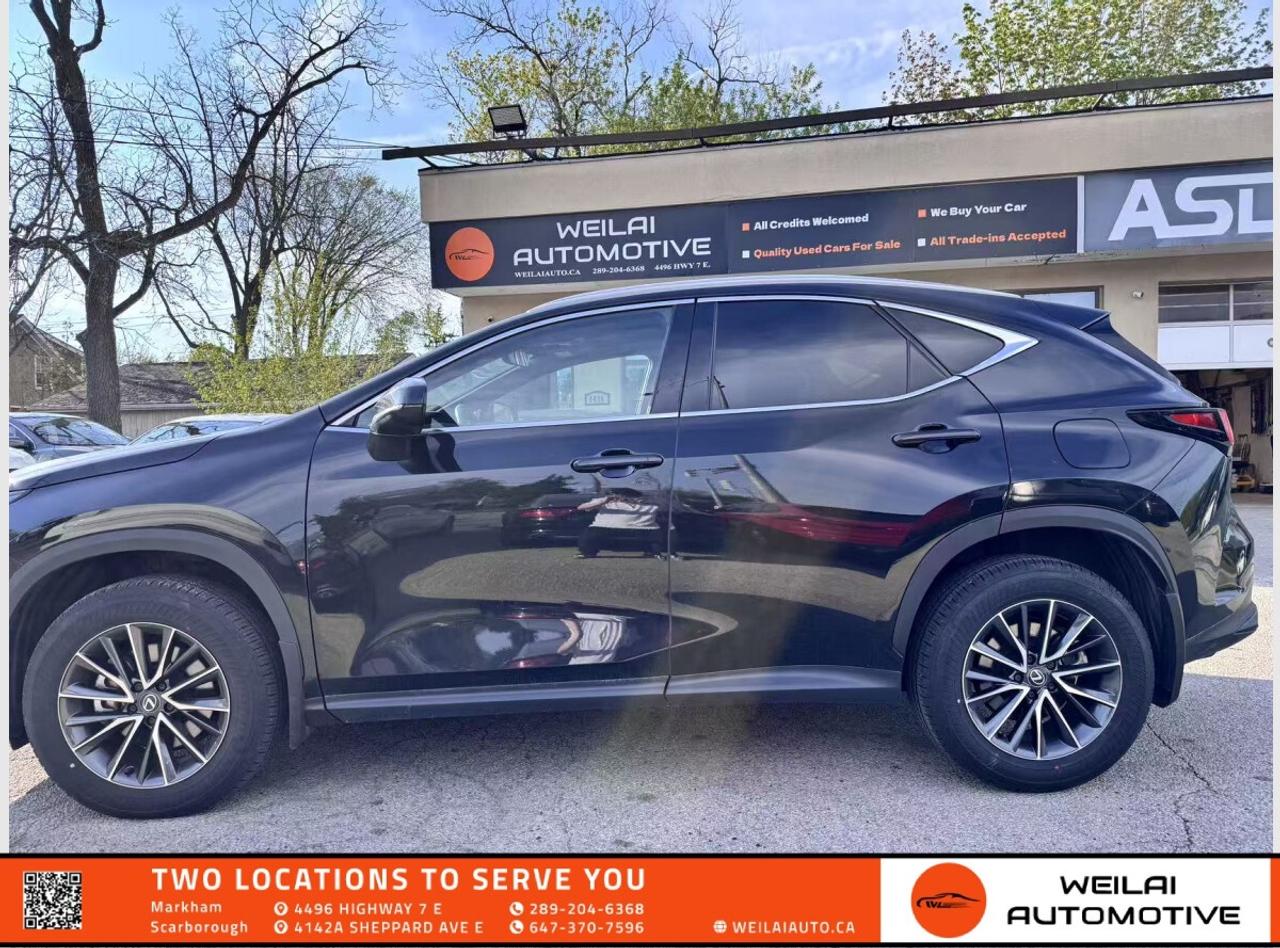 2025 Lexus NX 350 Premium Photo