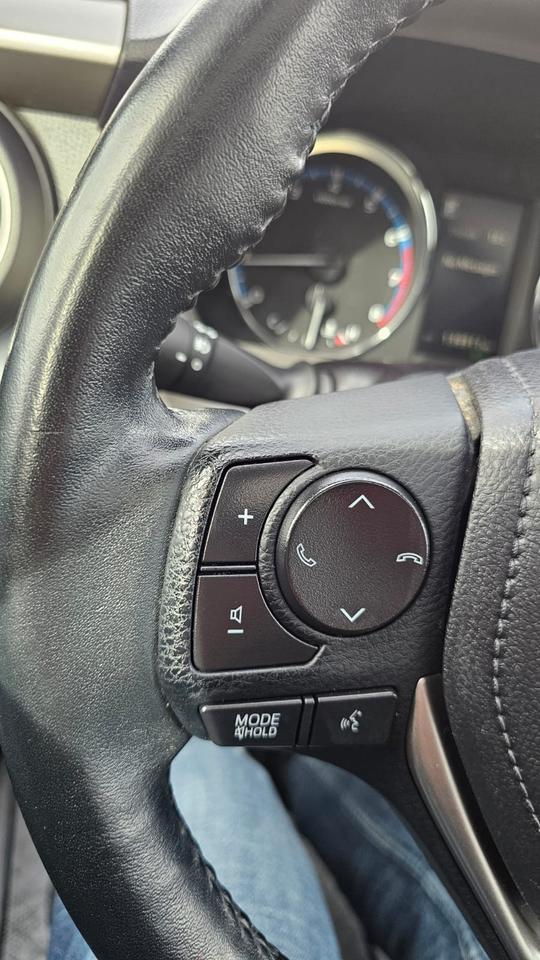 2018 Toyota RAV4 XLE Photo