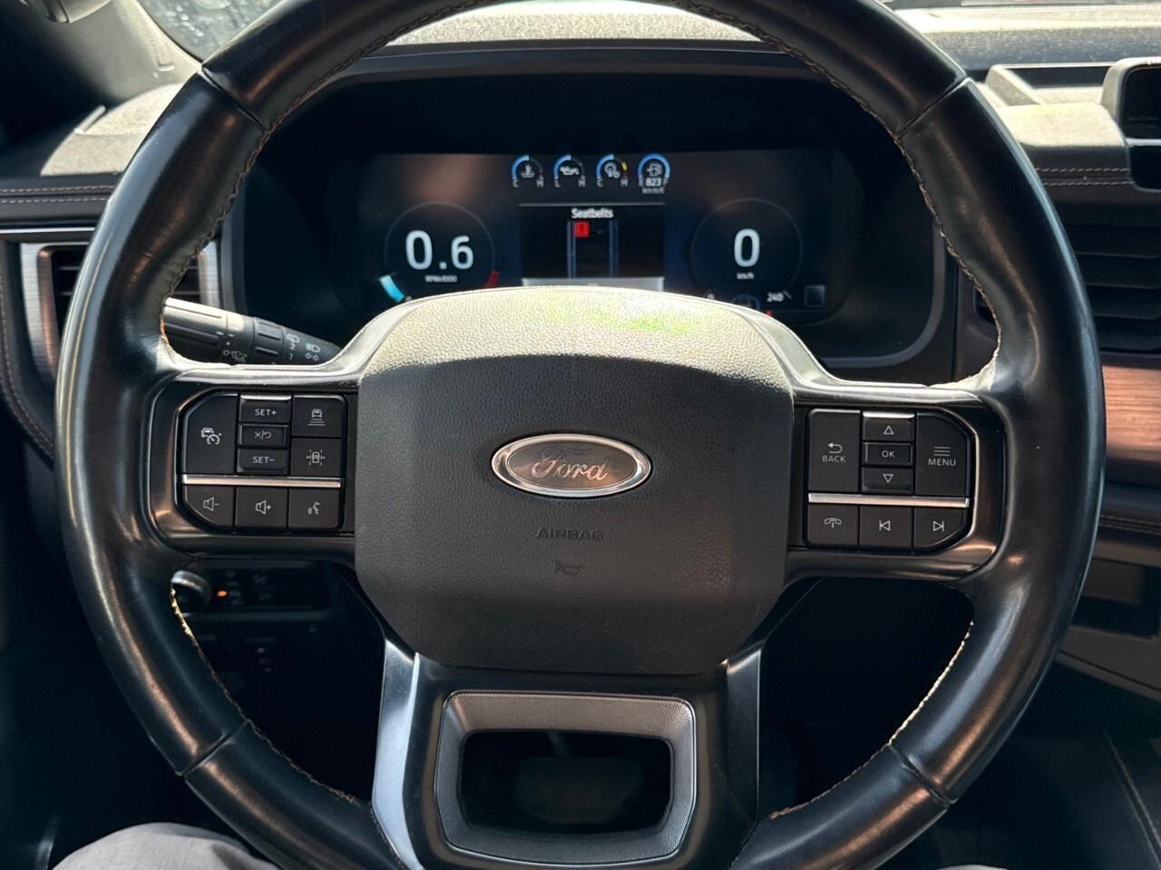 2022 Ford Expedition Platinum Max 4X4 Photo