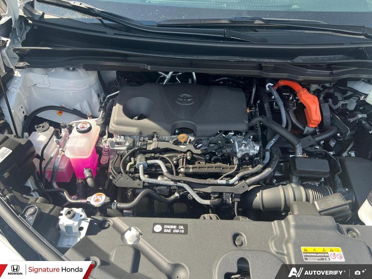 2026 Toyota Sienna XSE Photo