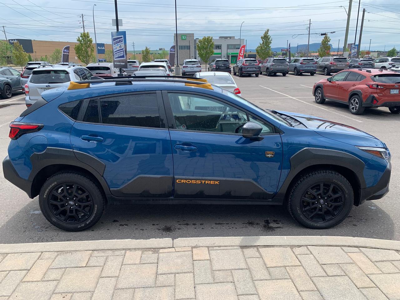 2024 Subaru Crosstrek Wilderness 4dr All-Wheel Drive Photo