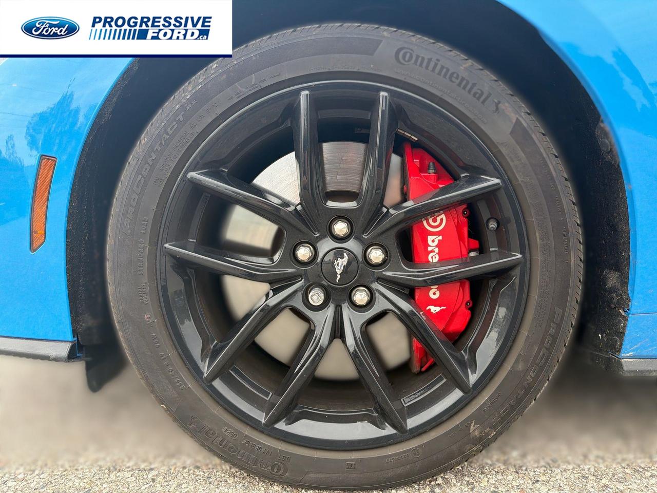 2024 Ford Mustang GT Premium 2dr Fastback Photo