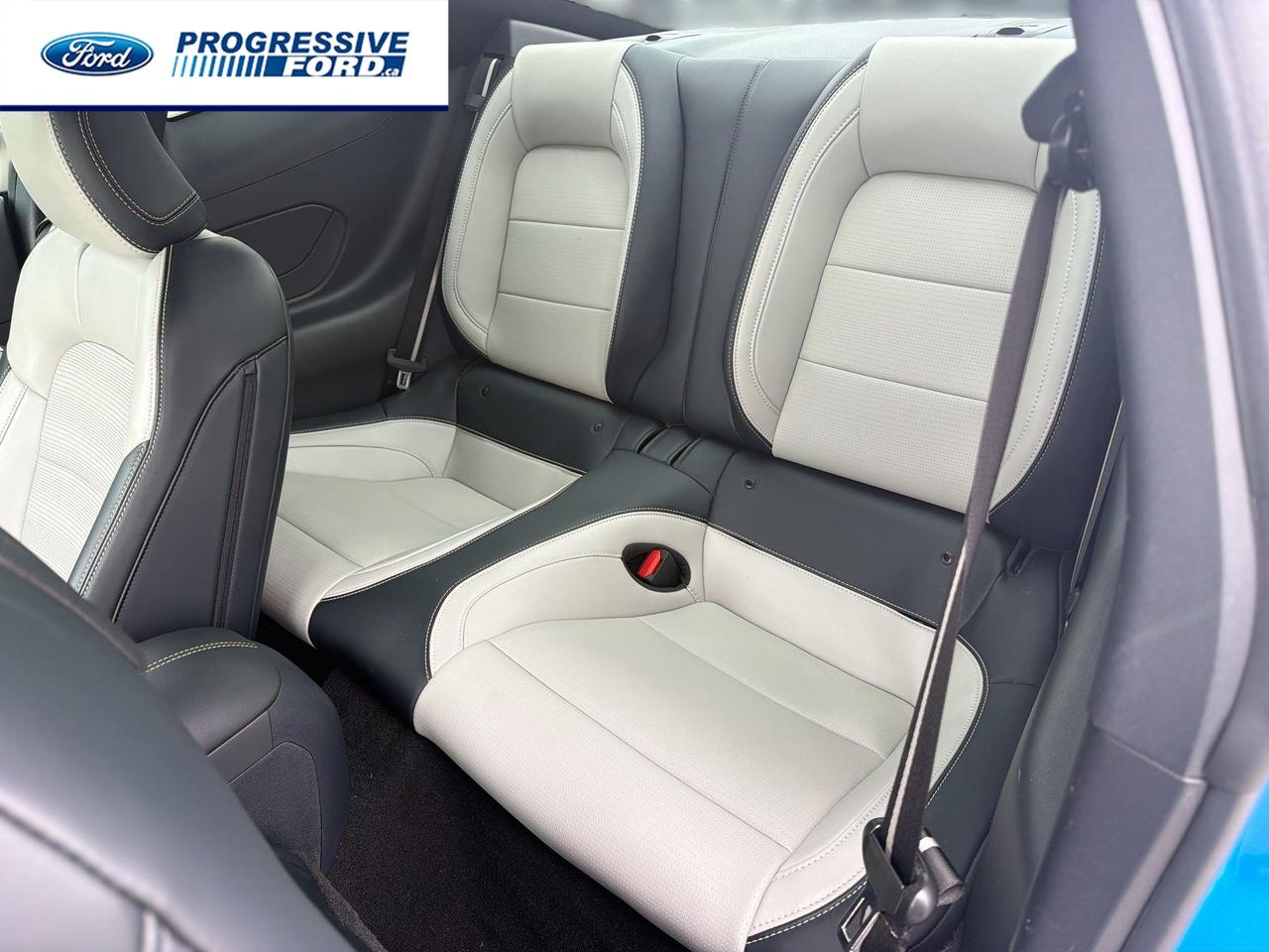 2024 Ford Mustang GT Premium 2dr Fastback Photo