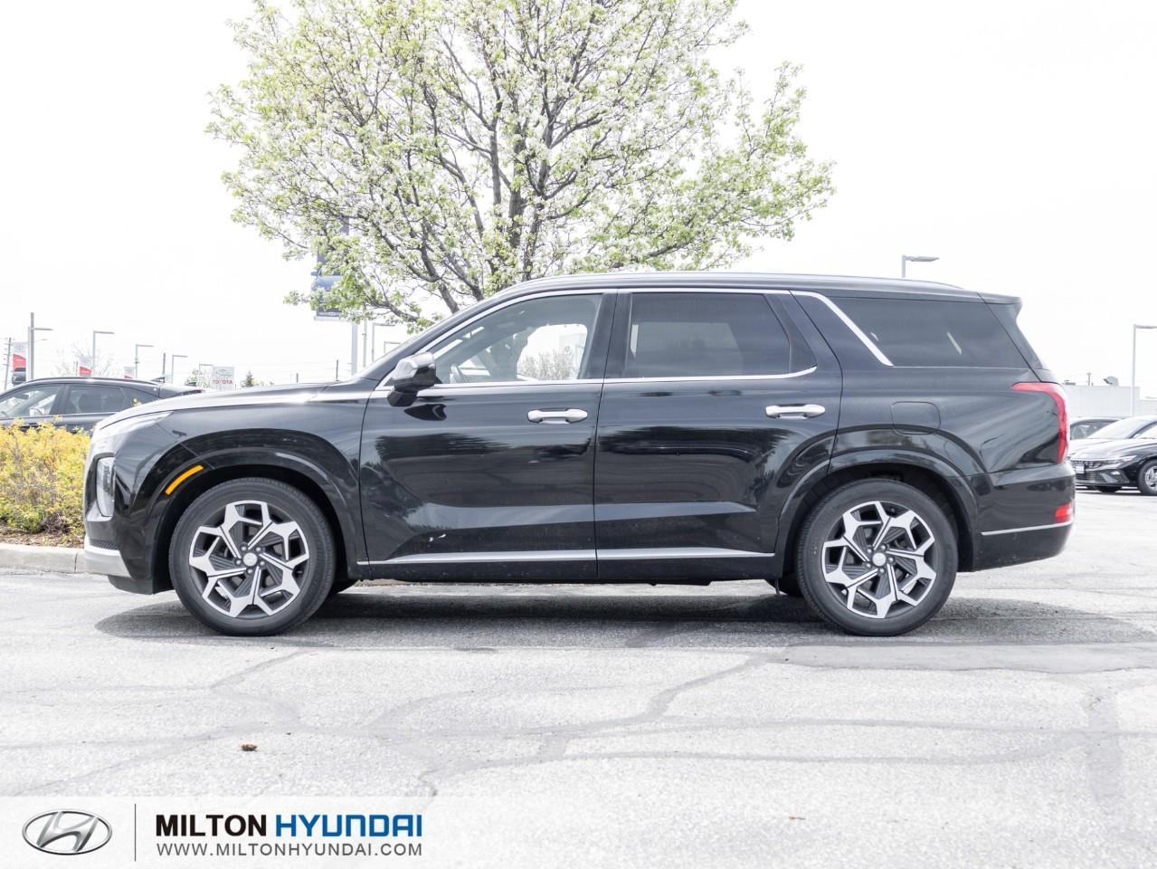 2021 Hyundai PALISADE Ultimate Calligraphy 4dr All-Wheel Drive Photo