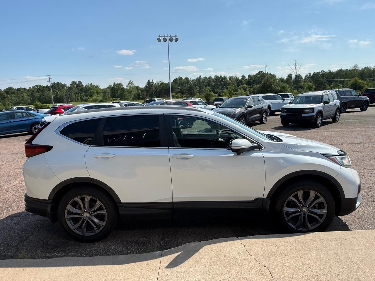 14149264