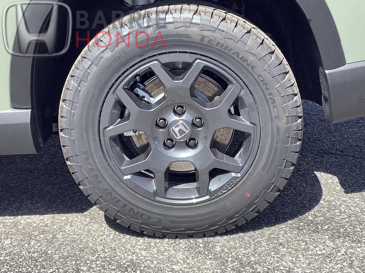 2026 Honda Pilot TrailSport 4dr All-Wheel Drive Photo