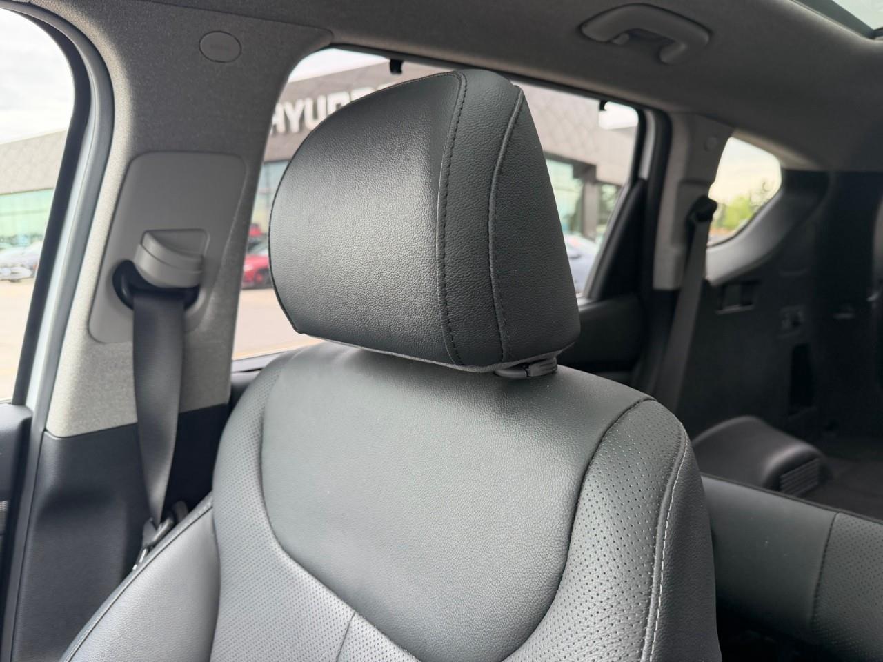 2019 Hyundai Santa Fe Luxury 2.0 (A8) 4dr All-Wheel Drive Photo