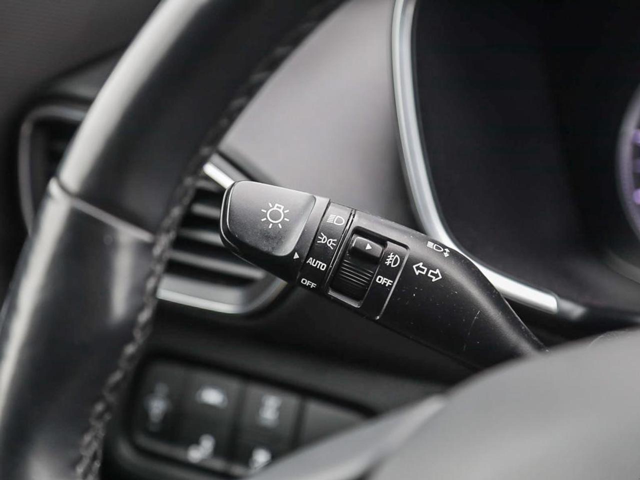 2019 Hyundai Santa Fe Luxury 2.0 (A8) 4dr All-Wheel Drive Photo