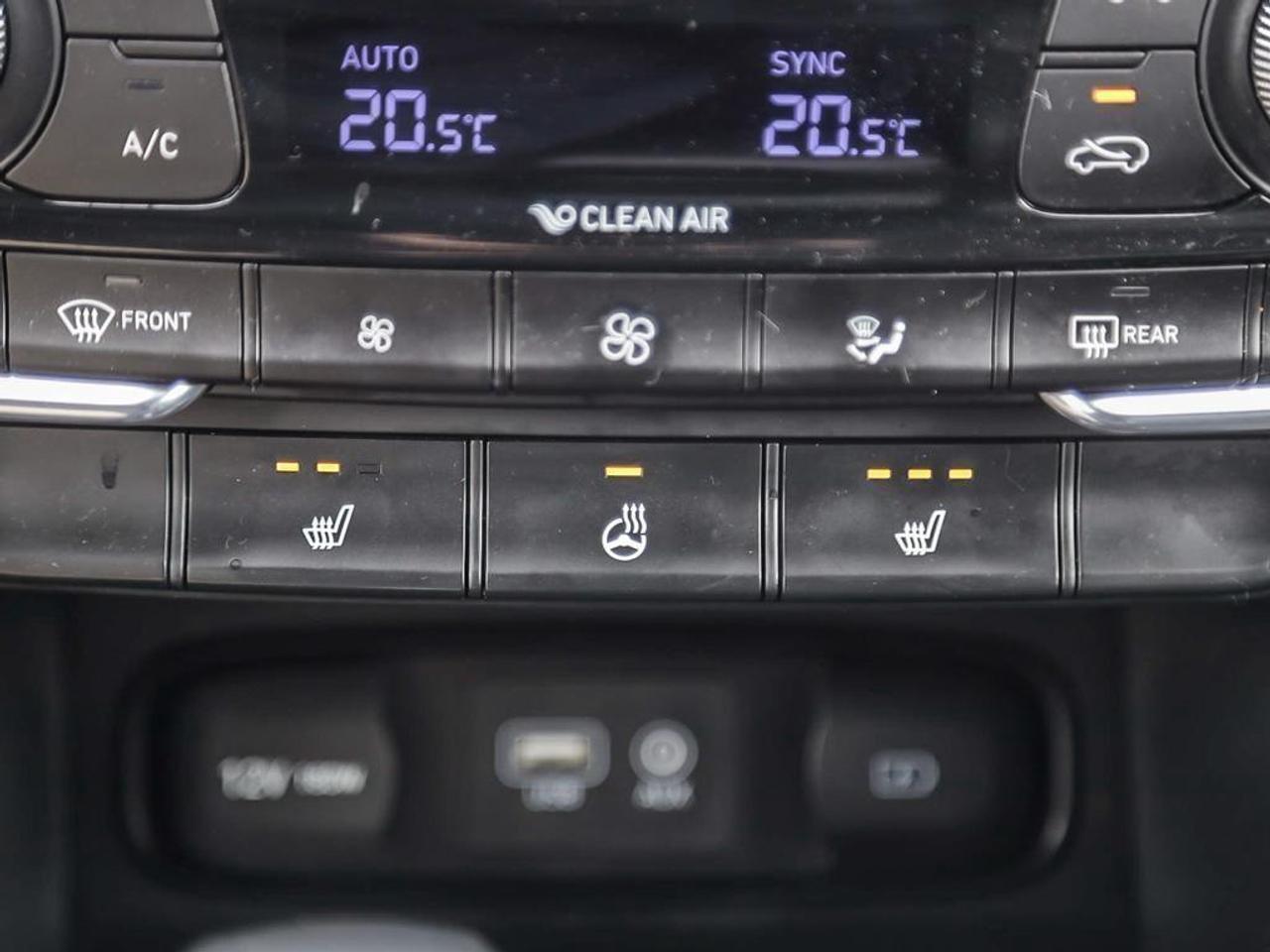 2019 Hyundai Santa Fe Luxury 2.0 (A8) 4dr All-Wheel Drive Photo