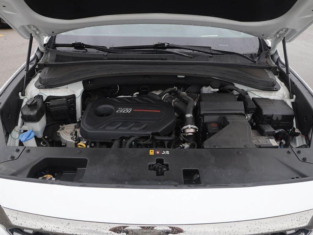 2019 Hyundai Santa Fe Ultimate 2.0  (A8) 4dr All-Wheel Drive Photo