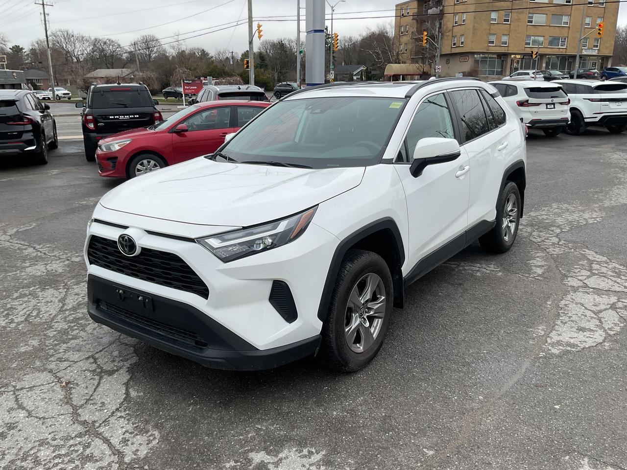 2024 Toyota RAV4 XLE 4dr All-wheel Drive Photo