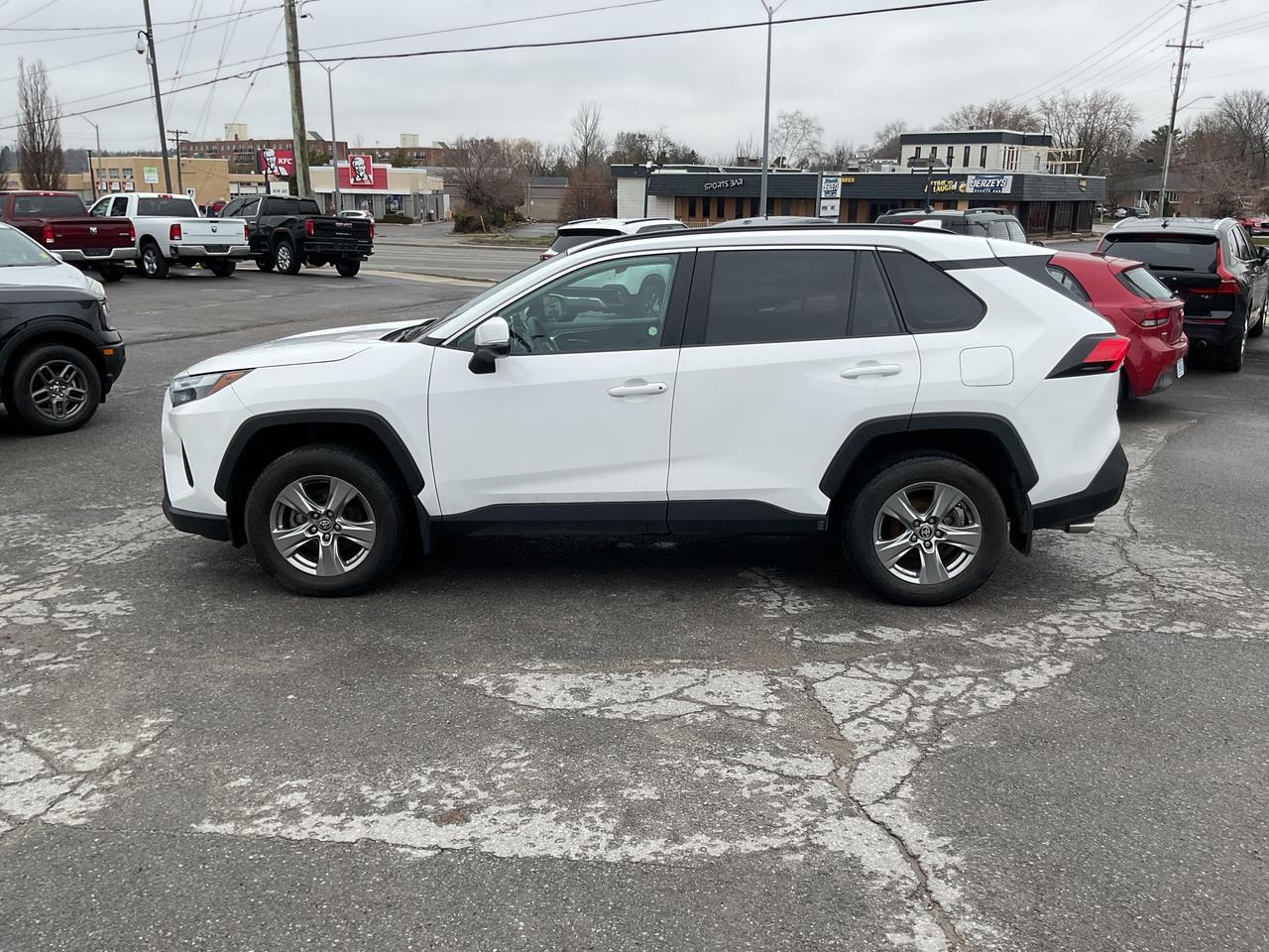 2024 Toyota RAV4 XLE 4dr All-wheel Drive Photo