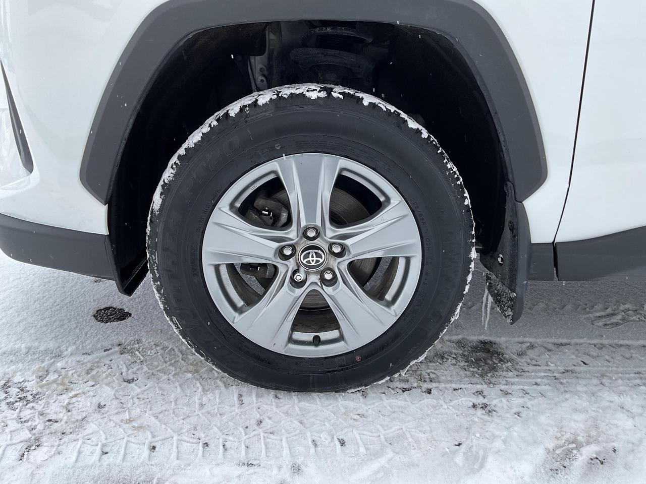 2024 Toyota RAV4 XLE 4dr All-wheel Drive Photo