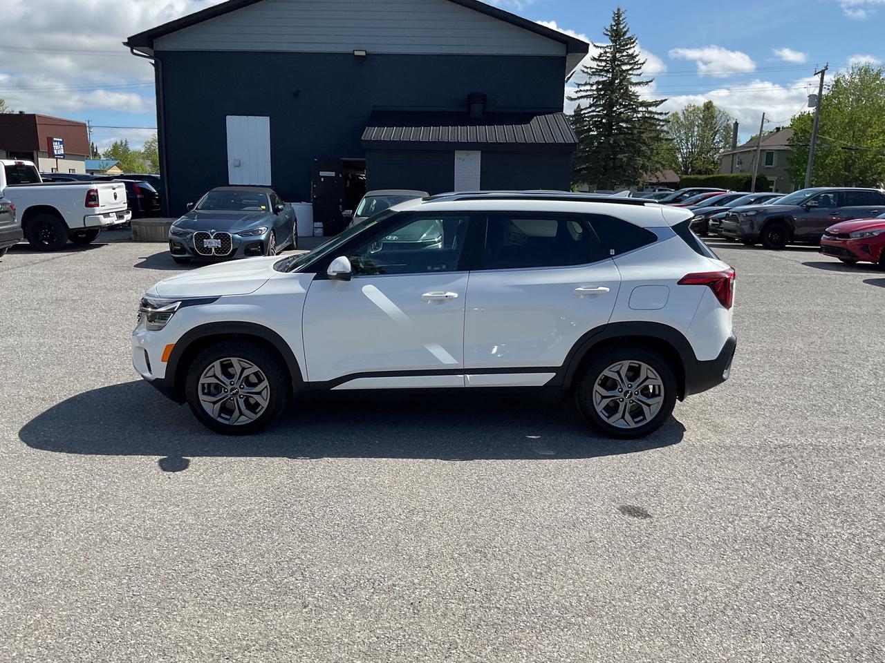 2025 Kia Seltos  Photo