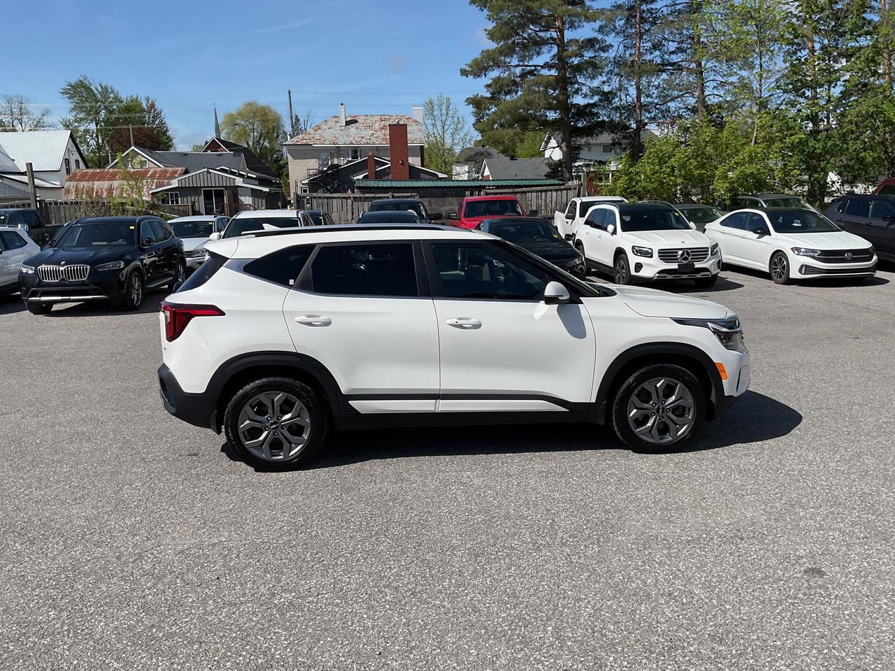 2025 Kia Seltos  Photo