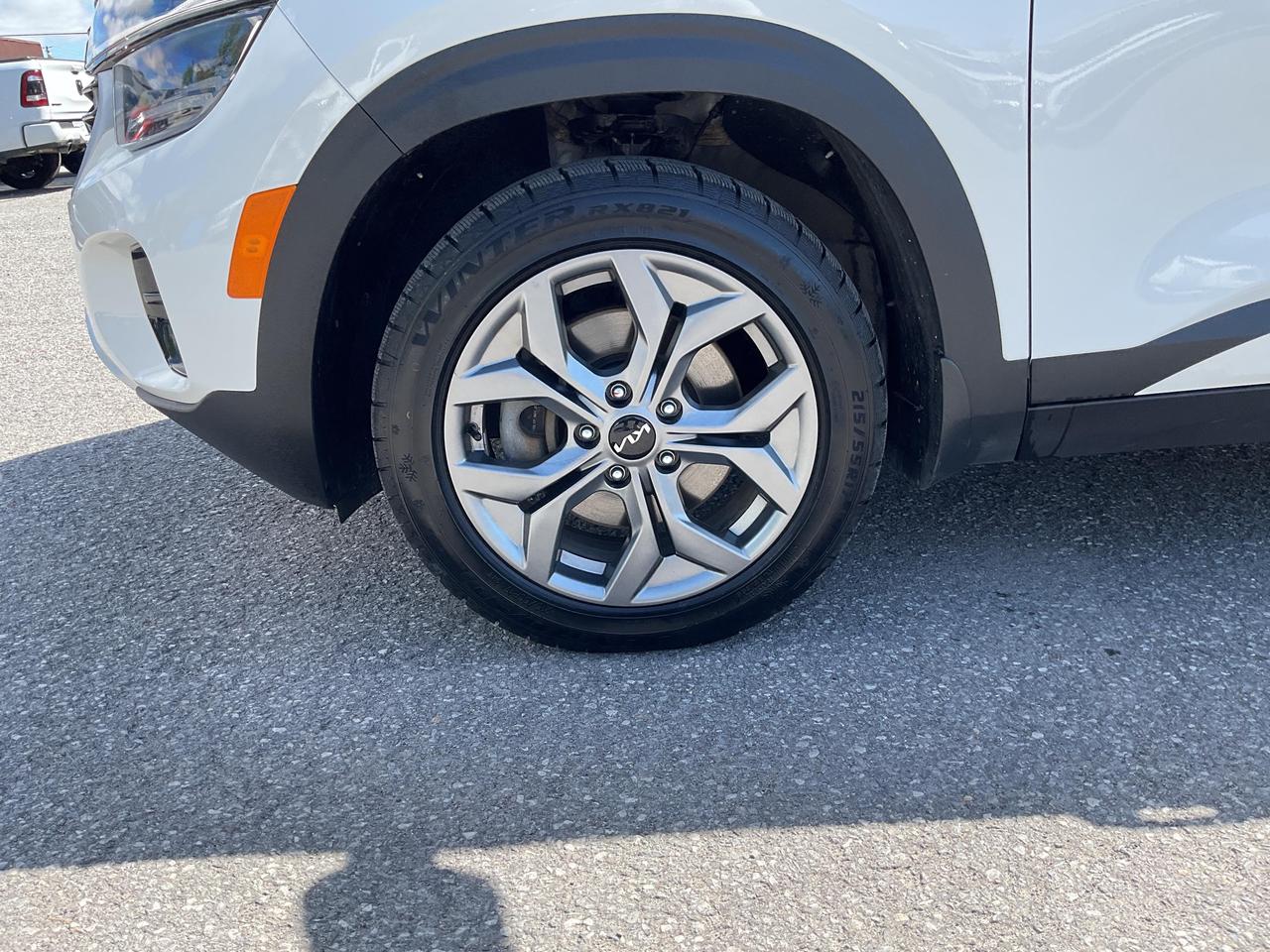 2025 Kia Seltos  Photo