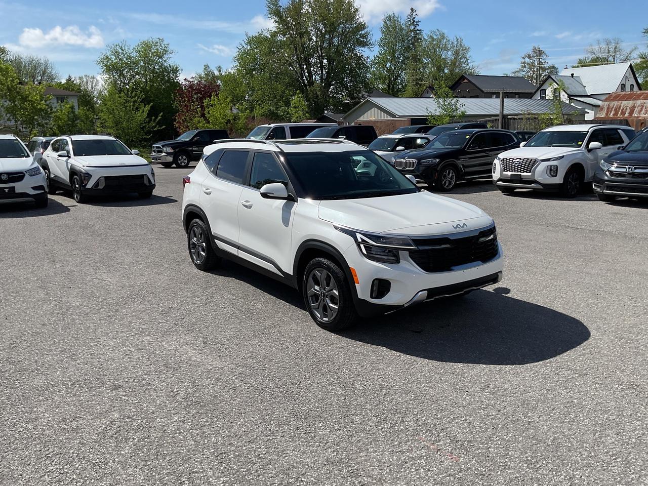 2025 Kia Seltos  Photo
