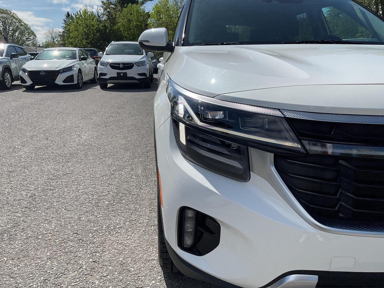 2025 Kia Seltos  Photo