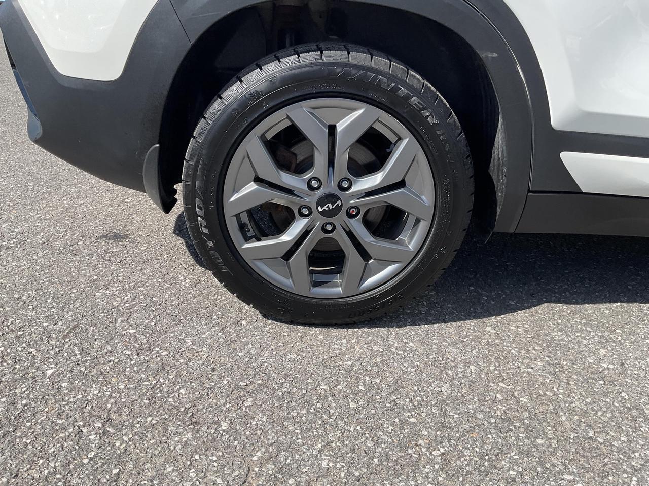 2025 Kia Seltos  Photo