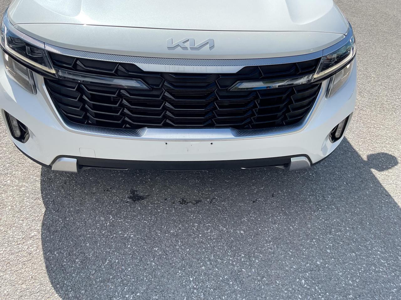 2025 Kia Seltos  Photo