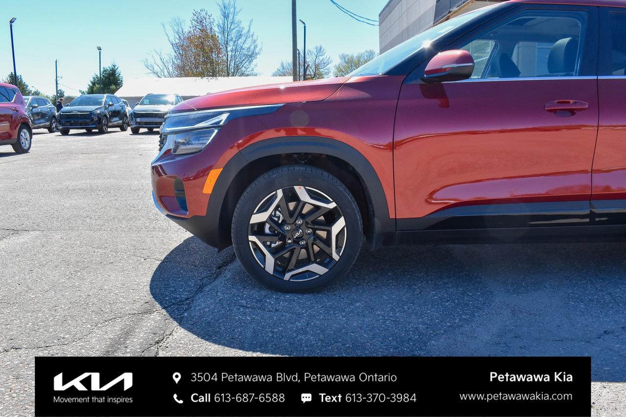 2026 Kia Seltos SX w/Black Interior 4dr All-Wheel Drive Photo
